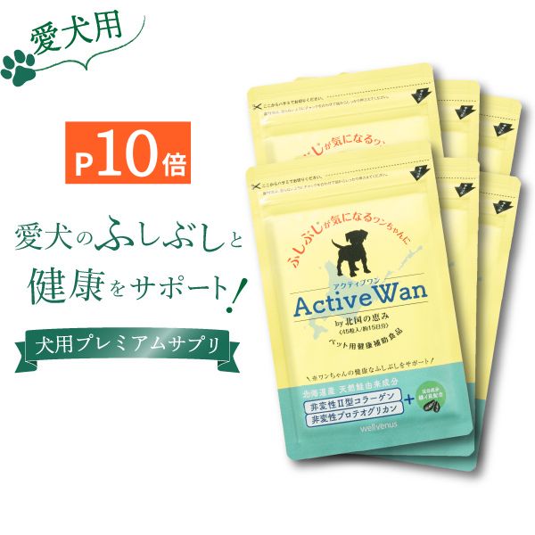＼本日限定！ポイント20倍／犬 関節 サプリメント 【 アクティブワン 45粒×6袋 】 節炎 関節痛 無添加 自然由来 犬用 関節 骨　 乳酸菌 2型コラーゲン プロテオグリカン モリンガ 国内製造 グルコサミン コンドロイチン 新軟骨成分 低カロリー おやつ 関節 免疫 健康 フー