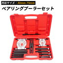 【当店15日限定★全品ポイント5倍!!】 ベアリング プーラー セット 自動車 車 メンテナンス 修理 30-75mm セパレーター ギア 切り取り 抜き取り ...