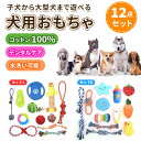 犬 おもちゃ 12点 セット ロープトイ ペット用品 犬用 玩具 ぬいぐるみ ボール 餌入れ ロープ 人参 ボール ペット グッズ エサ入れ 噛むおもちゃ 引っ張りっこ 知育玩具 運動不足 ストレス解消 歯磨き デンタルケア 子犬 小型犬 中型犬 大型犬【送料無料】