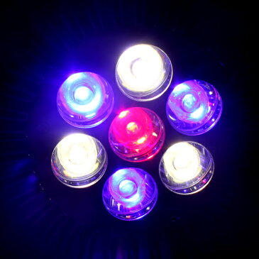 アクアリウム ライト LED 水草 スポットライト 水槽照明 青3 赤1 白3灯 7W 植物育成 海水 アクアリウム用品【即日発送】