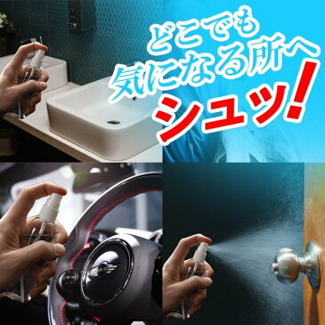 【即日発送】携帯サイズ 手指消毒 アルコール 50ml 2本 エタノール 70% スプレーボトル 手指 除菌 携帯 持ち運び 不織布マスク おまけ付【送料無料】