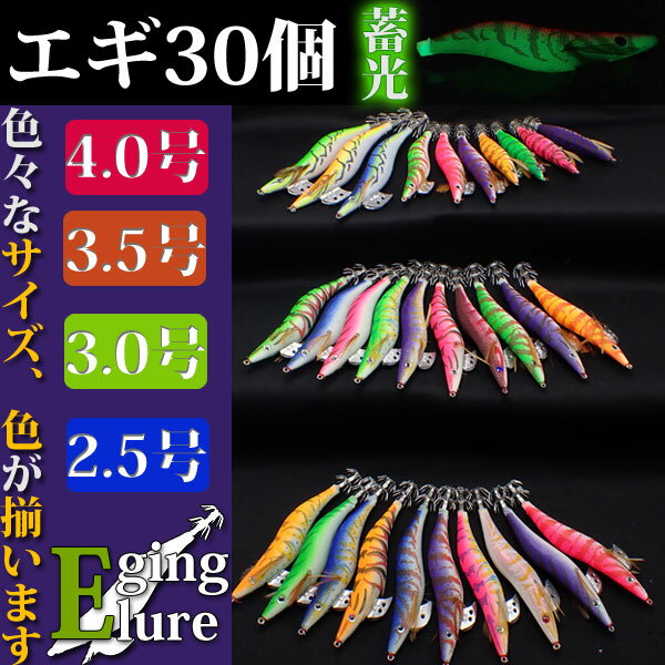 エギ 30本セット 夜光 イカ釣り 4.0号 3.5号 3号 2.5号 蓄光 大量 夜釣り 初心者 玄人 ルアー 仕掛け 釣り具 釣り 真タコ ハタ エソ スルメイカ ケンサキイカ コウイカ ヒイカ アオリイカ