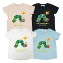 【本体綿100％】2024年 夏物 はらぺこあおむし 天竺 半袖Tシャツ THE WORLD OF ERIC CARLE PICK PICK