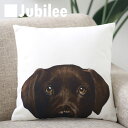 クッションカバー miart x Jubilee コラボ LABRADOR RETRIVER ペットデザイン 45×45cm リネン 天然の麻を含んだハンドメイ...