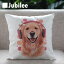 å󥫥С ǥȥС  Cushion Cover ̲ǥ 4545cmͥ ŷǽ褿ϥɥᥤ ȥ إåɥե ץ쥼 ե   ۤˤ  ڥå Ҷ     