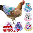 鳥服 羽保護 コスプレ 小鳥 小動物 耐久性 着脱が簡単 軽量 かわいい 洗える 繰り返し使用可能 お出かけ 散歩 鳥用品 鶏 アヒル ガチョウ ペット服 メー...