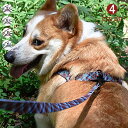 【在庫一掃】【返品不可】ハーネス リード 胴輪 首輪 犬用 中型犬 大型犬 小型犬 スプリング ペット 8の字ハーネス 通気性 リード ハーネスセット ドッグラ...