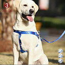 ハーネス リード セット 胴輪 首輪 犬用 中型犬 大型犬 小型犬 スプリング ペット 8の字ハーネス 通気性 リード ハーネスセット ドッグラン お散歩 脱着...