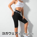 ヨガパンツ ヨガウェア レディース レギンス パンツ スポーツ スパッツ トレンカレギンス フィットネス トレーニングパンツ ヨガ ジム サイクリング ランニン...