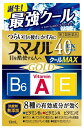 第2類医薬品スマイル40EXGクールM 13ml ウェルパーク【税込3980円以上で送料無料】