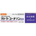 指定第2類医薬品HCテトラ・コーチゾン 10g ウェルパーク【税込3980円以上で送料無料】▲B1