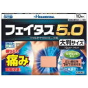 第2類医薬品フェイタス5.0大判 10枚 ウェルパーク【税込3980円以上で送料無料】