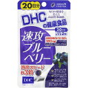 【税込3980円以上で送料無料】速攻ブルーベリー 20日分 ウェルパーク
