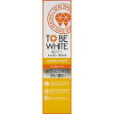 TBF薬用デンタルペースト 100g ウェルパーク【税込3980円以上で送料無料】▲AB