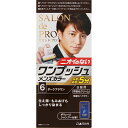 サロンドプロワンプッシュメンズ6 ウェルパーク【税込3980円以上で送料無料】▲B1