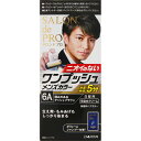 サロンドプロワンプッシュメンズ6A ウェルパーク【税込3980円以上で送料無料】▲B1