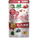メタボリック イーストエンザイムDビューティ60粒 ウェルパーク【税込3980円以上で送料無料】