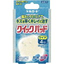 DGクイックパッドワイド4枚 ウェルパーク【税込3980円以上で送料無料】
