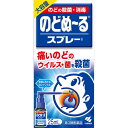 第3類医薬品 のどぬ〜るスプレー 大容量25ml ウェルパーク【税込3980円以上で送料無料】▲B1