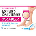第2類医薬品ケアノキュア 20g ウェルパーク【税込3980円以上で送料無料】▲B1
