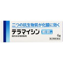第2類医薬品 テラマイシン 軟膏 6g ウェルパーク【税込3980円以上で送料無料】▲B1