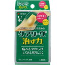 ニチバン ケアリーヴ治す力 Lサイズ9枚 ウェルパーク【税込3980円以上で送料無料】▲B1