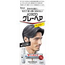 メンズビゲングレーヘアダークグレー　1セットウェルパーク