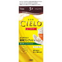 【税込3980円以上で送料無料】ホーユー シエロ ムースカラー 5P ウェルパーク
