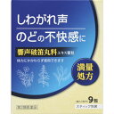 【第二類医薬品】響声破笛丸料エキス顆粒KM 2.5g×9包 ウェルパーク 【第二類医薬品】響声破笛丸料エキス顆粒KM 2.5g×9包 ウェルパーク