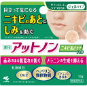 アットノン ニキビあとケアJ 10g▲A