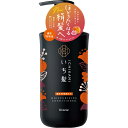 いち髪 濃密W保湿ケア コンディショナー本体 480g▲B2