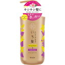 いち髪D&CSPポンプ 480ml▲B2