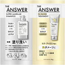 THEANSWERピローグロス 24ml▲B2▼