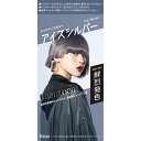 ビューティーン メイクアップカラー アイスシルバー 40mL▲B2