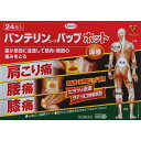 第2類医薬品★バンテリンパップホット24枚▲A