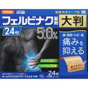 第2類医薬品★ホームパスフェルビナT5.0アルファ大判 24枚▲B1