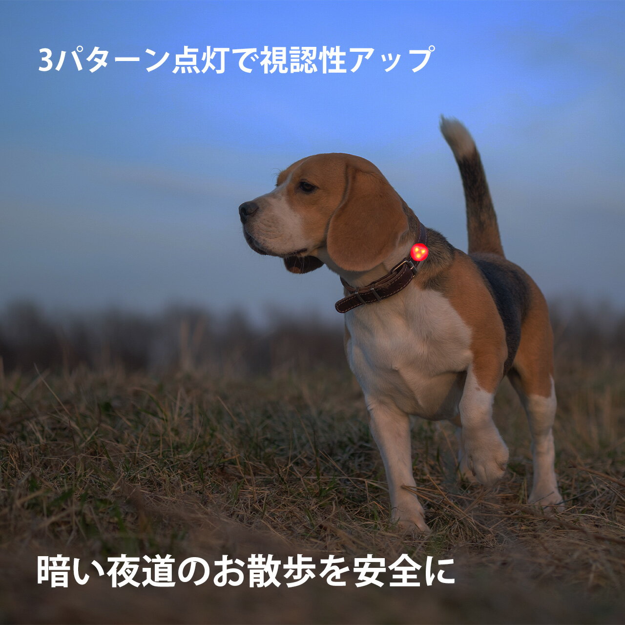 シリコン LED お散歩ライト 7色【LED ライト】【小型犬 中型犬 大型犬】【犬 夜間 安心 安全 補助】【首輪 ハーネス リード バッグ 自転車】【電池交換可能】【金属アレルギー 対応】点灯3パターン