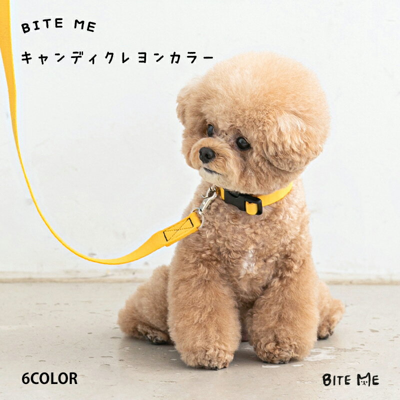 【BITE ME バイトミー】キャンディクレヨンカラー S / M 全6色【犬 首輪 おしゃれ パステルカラー ビビ..
