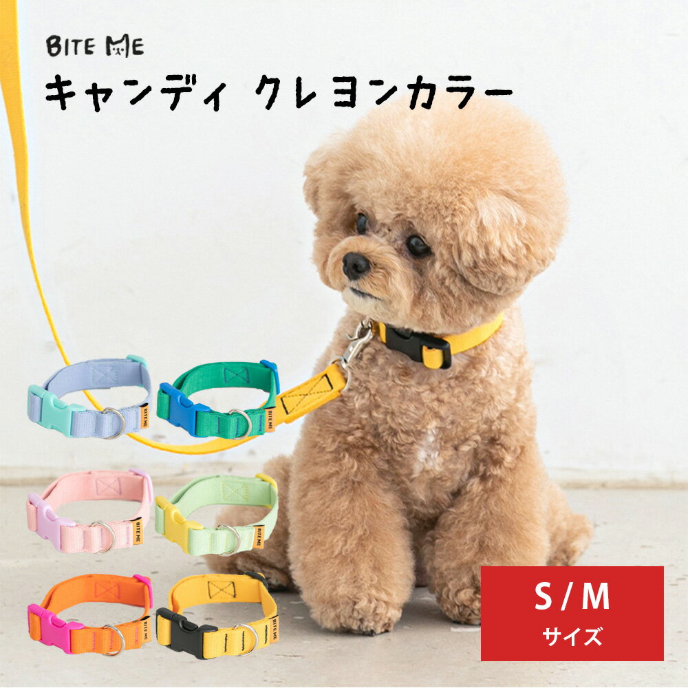 ＼クーポンで最大500円OFF／ 【BITE ME 