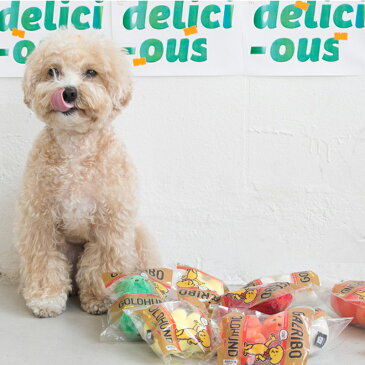 【スーパーSALE】【bite me / バイトミー】ジェリーベアグミトイ【犬 おもちゃ 犬用おもちゃ 犬のおもちゃ ノーズワーク 犬 ピーピー 音 かわいい おしゃれ ハリボー クマ 韓国ブランド】 犬の服 ドッグウェア ベストフレンズ