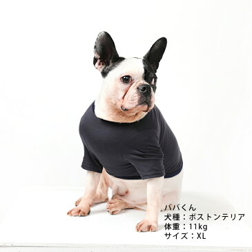 BF ナイロンTシャツ / S,M,L,XL 【犬服 犬の服 ドッグウェア 犬 服 春 夏 かわいい Tシャツ】シンプル ライン 薄手 生地 無地