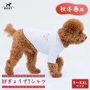 \クーポンで最大500円OFF/BF ぎょうざTシャツ S M L XL XXL【レトロ 餃子 一皿 中華 刺繍 Tシャツ シンプル かわいい おしゃれ コットン 綿 暖かい 小型犬】【犬服 犬 服 犬の服 春 夏 ドッグウェア ベストフレンズ】