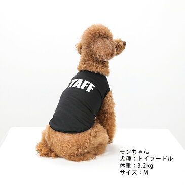 STAFF クールメッシュタンク / S,M,L,XL,XXL【犬服 犬の服 ドッグウェア ベストフレンズ 犬 服 春 夏 かわいい タンクトップ おもしろ】小型犬 中型犬 夏 ノースリーブ クール メッシュ プリント ひんやり】夏用 夏服