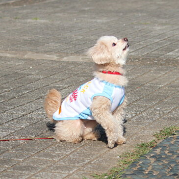【NEW JACK / ニュージャック】エアーメッシュタンク S,M,L,XL,XXL / 犬 服 犬の服 夏 クール メッシュ 小型犬 中型犬 おしゃれ 夏服 通気性 抜群 ムレない 夜間 反射 プリント【犬の服 ドッグウェア ベストフレンズ】