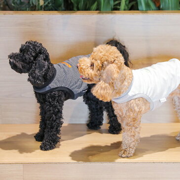 【NEW JACK / ニュージャック】ワンホール刺繍ボーダー S,M,L,XL,XXL / 犬 服 犬の服 ストレスフリー 腕なし タンク 動きやす 夏 クール 薄手コットン 綿 小型犬 中型犬 伸縮性抜群 おしゃれ 夏服 蛍光 刺繍 ボーダー【犬の服 ドッグウェア ベストフレンズ】