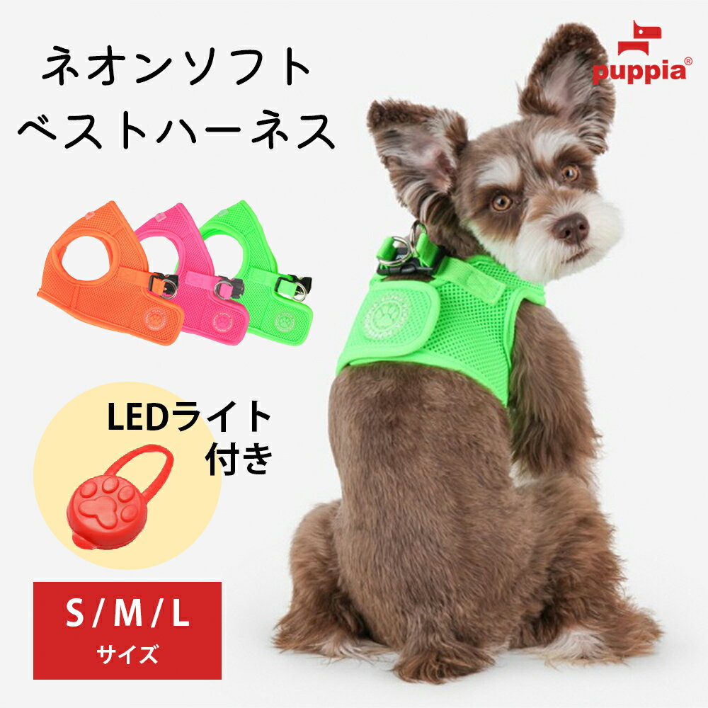 LEDプレゼント【メール便送料無料】