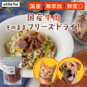 【食いつき◎】 犬 ごはん フリーズドライ トッピング シニア犬 食べムラ 無添加 国産 おやつ 老犬 安全 食いつき 肉 牛肉 もも肉 ウデ肉 イチボ肉 white fox ホワイトフォックス フリーズドライ ドッグフード フード 餌 食事 キャットフード 猫 ネコ