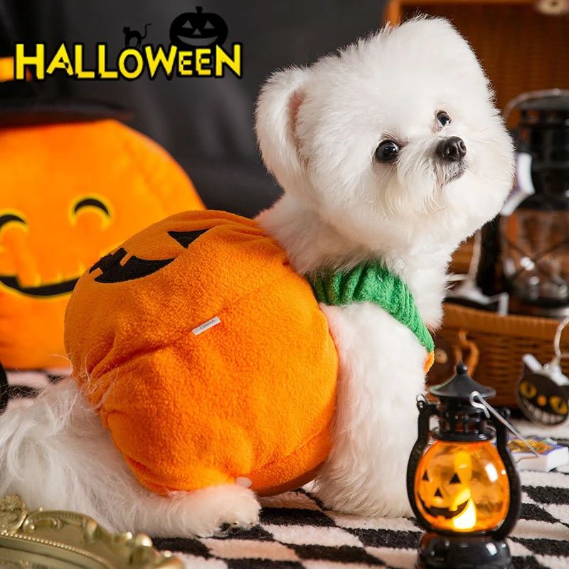 商品情報 商品詳細 ハロウィンをもっと楽しく彩る、可愛いペット用コスチュームが登場。犬・猫兼用で、小型犬から中型犬、猫まで幅広く対応します。 かぼちゃをモチーフにしたデザインで、被り物の帽子と組み合わせると愛らしさ倍増。ハロウィンパーティーや仮装イベントで注目を集めます。 柔らかく快適な素材を使用し、ペットが嫌がりにくく動きやすい仕様。ノースリーブ風で着脱もしやすいのが特徴です。 写真撮影やSNS投稿にもぴったり。ハロウィンの思い出をより特別なものにしてくれます。 可愛いだけでなく、ギフトやプレゼントにもおすすめの一着です。 カラー 画像通り 素材 ポリエステル 原産国 中国 注意事項 ※お客様のご覧になるパソコン機器及びモニタなどの違い、また室内、室外での撮影により、実際の商品素材の色と相違する場合がございます。 ※メーカー都合により、生産時期によってイメージの商品内容と形状、色が予告なく微妙に変更される場合がございます。どうぞご了承ください。 ※メーカーからの包装を再利用しているため、包装に一部傷・汚れが生じる場合があります。あらかじめご了承ください。 ※生産の過程上、寸法に多少の誤差(±2〜3cm)が生じる場合がありますが、品質上・着用上に問題はございません。 メーカー希望小売価格はメーカーサイトに基づいて掲載しています