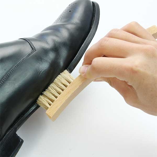 ���å����֥饷���֥饷 ���Τ�������