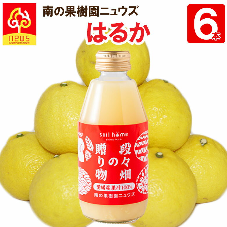 小瓶ジュースはるか200ml×6本) 愛媛県産果汁100％無添加 soil home 皮ごと丸搾り 段々畑の贈り物 はる..